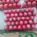 Shandong Fresh Red Fuji Apple2017 new season